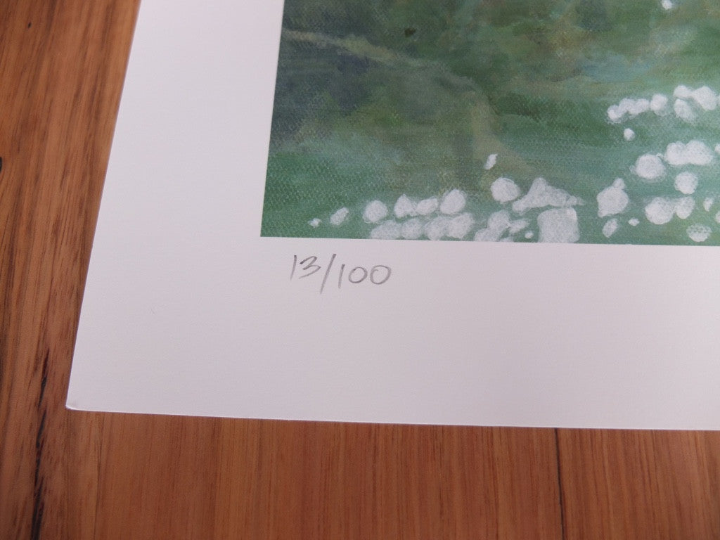 Afternoon Reflections Limited Edition Print handsided by Camellia Morris