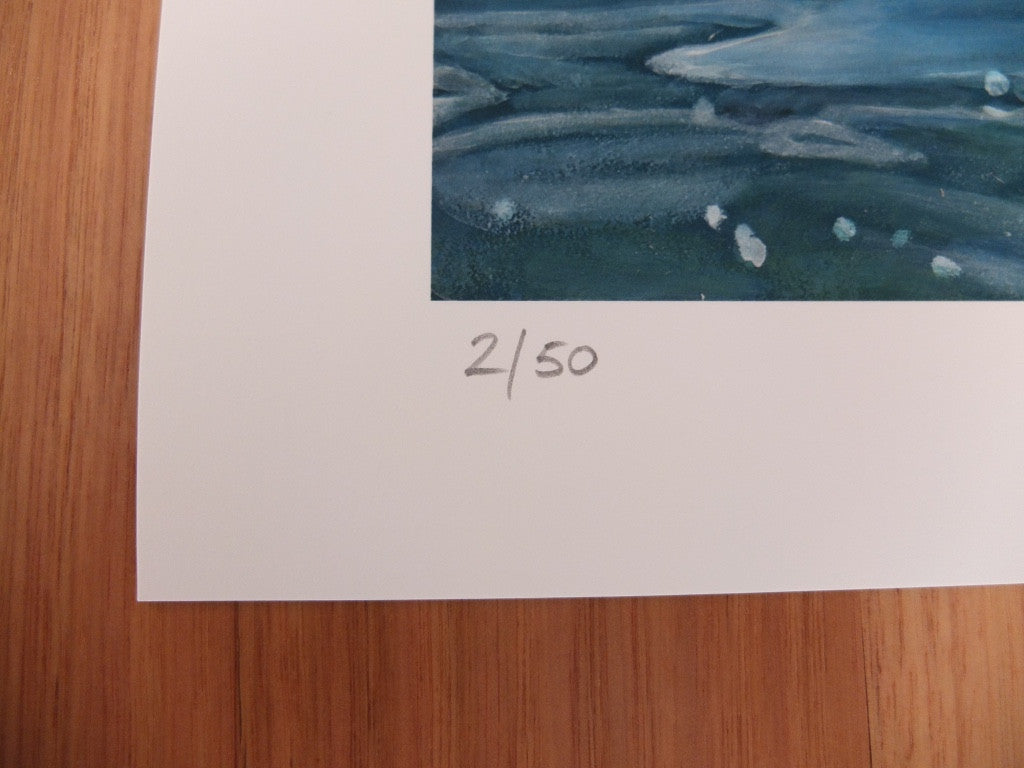 'Drift' Limited Edition Print Handsigned by Camellia Morris