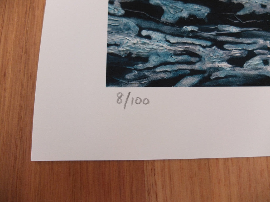'Turbulent' Limited Edition Print hand numbered by Camellia Morris