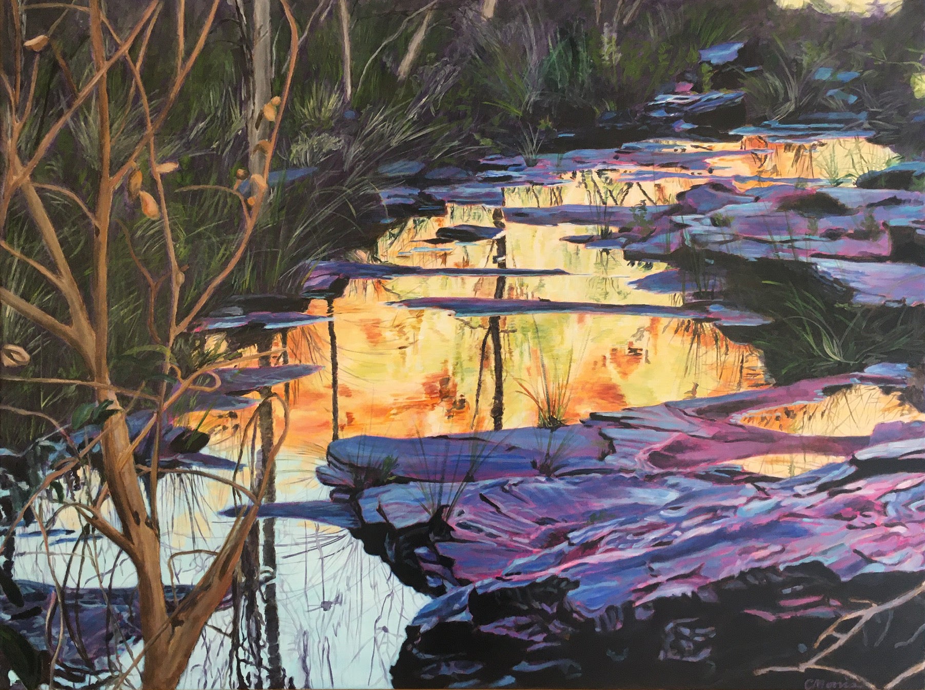 Karijini National Park, Oil on canvas by Camellia Morris.